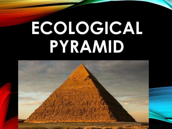 Ecological Pyramid | CBSE | HINDI