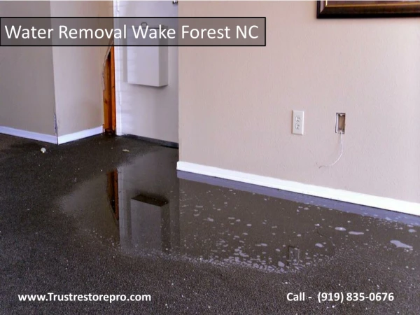 Water Removal in Wake Forest North Carolina