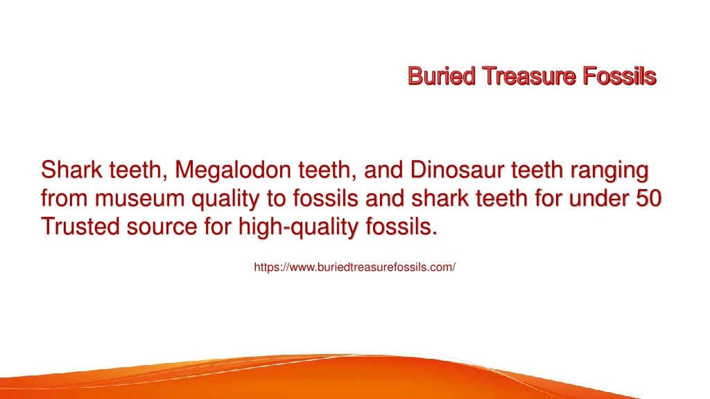 buried treasure fossils