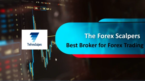 Bonus Awarding Forex Best Brokers - The Forex Scalpers