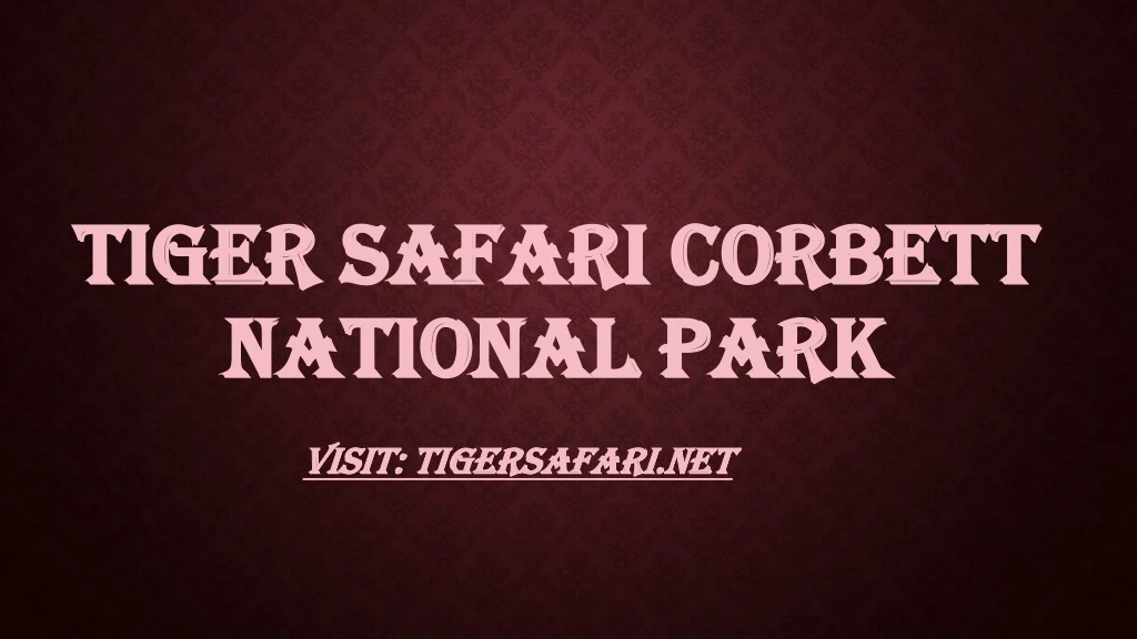 tiger safari corbett national park