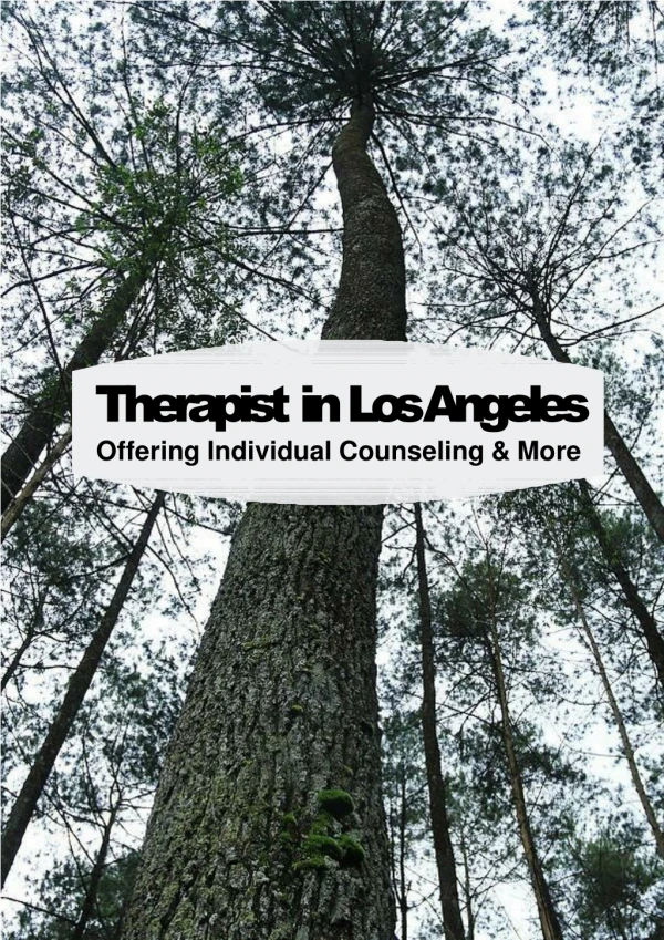 Therapist in Los Angeles – Offering Individual Counseling and More