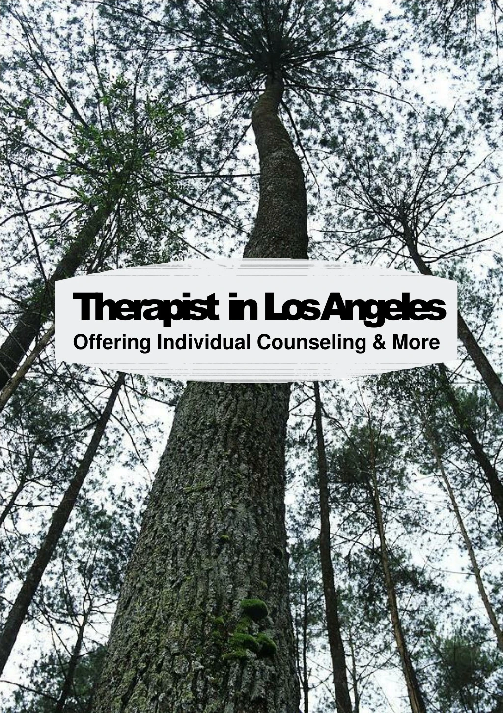 therapist in los angeles offering individual counseling more