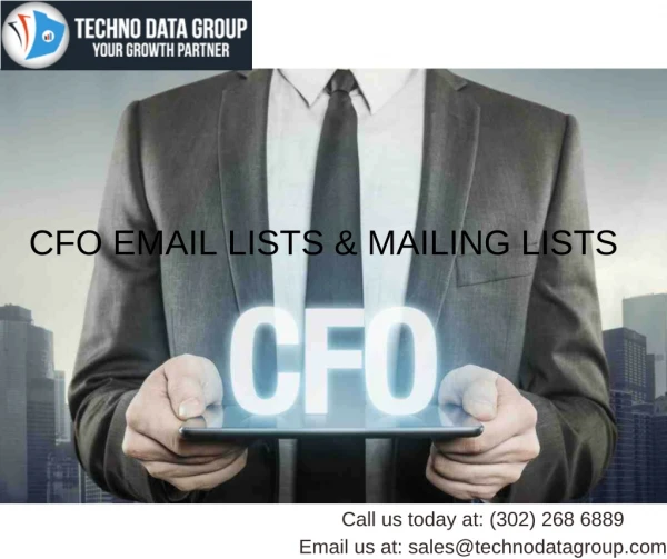 CFO Email Lists & Mailing Lists | Chief Executive Officer Email List in USA