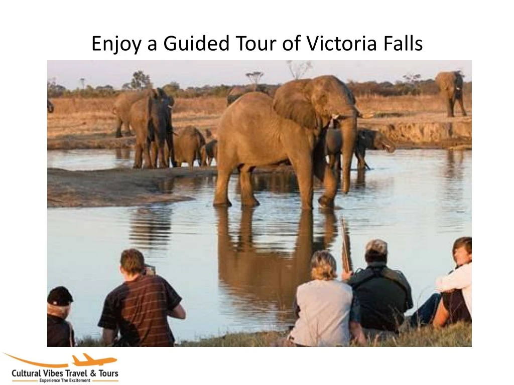 enjoy a guided tour of victoria falls