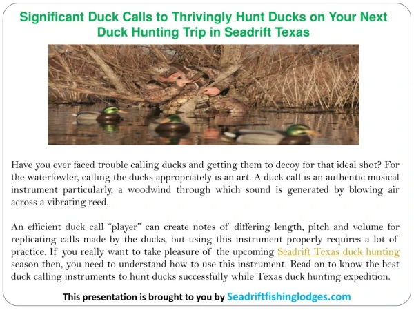 Significant Duck Calls to Thrivingly Hunt Ducks on Your Next Duck Hunting Trip in Seadrift Texas