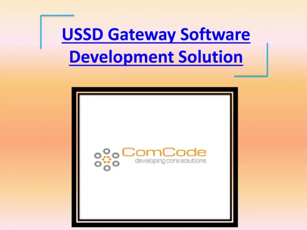 USSD Gateway Software Development Solution