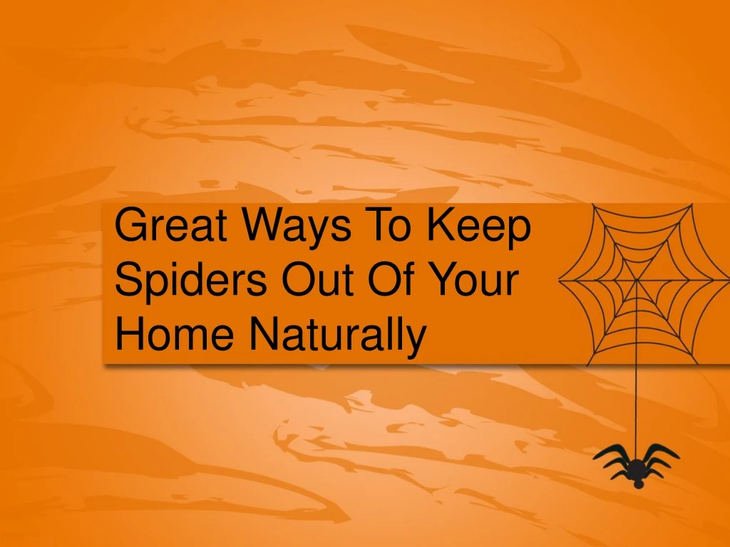 great ways to keep spiders out of your home naturally