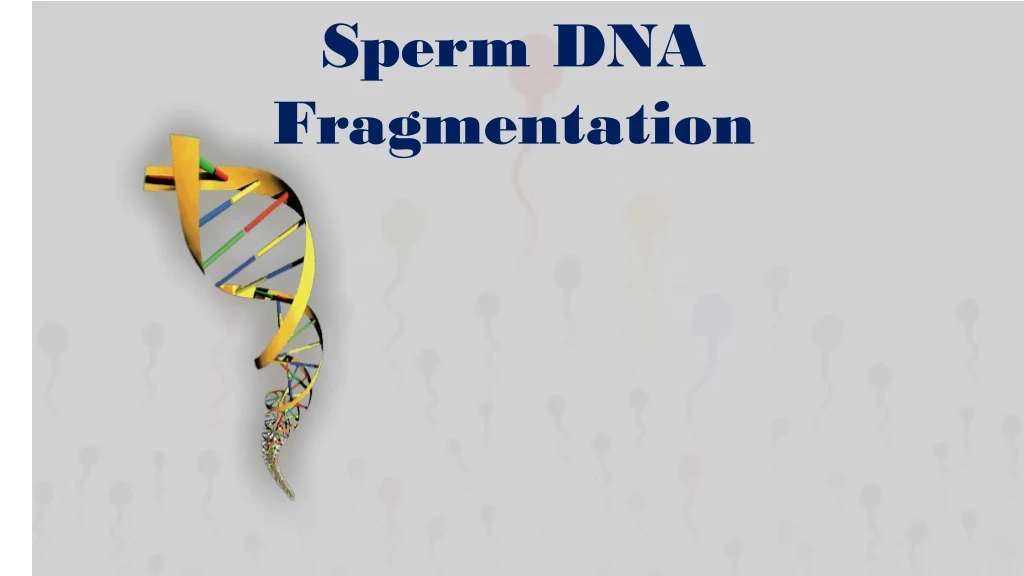 sperm dna fragmentation