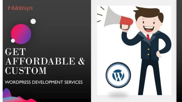 Get Affordable & Custom WordPress Development Services