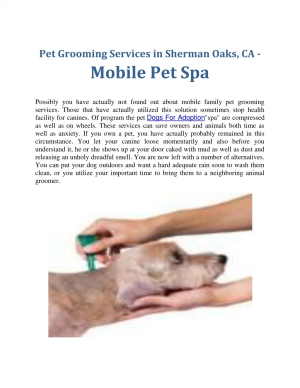 Pet Grooming Services in Sherman Oaks, CA - Mobile Pet Spa