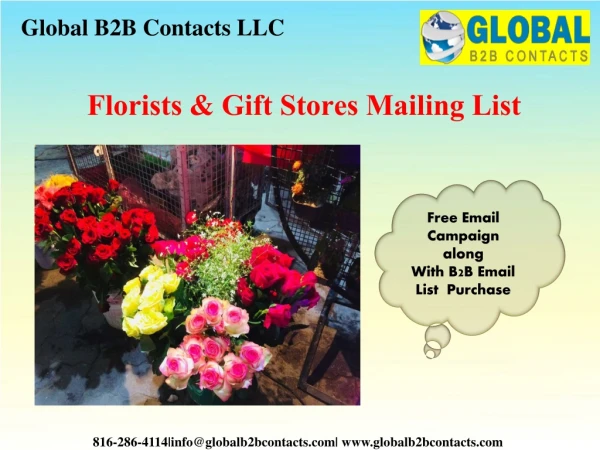 global b2b contacts llc
