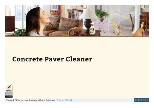 Paver Stain Remover