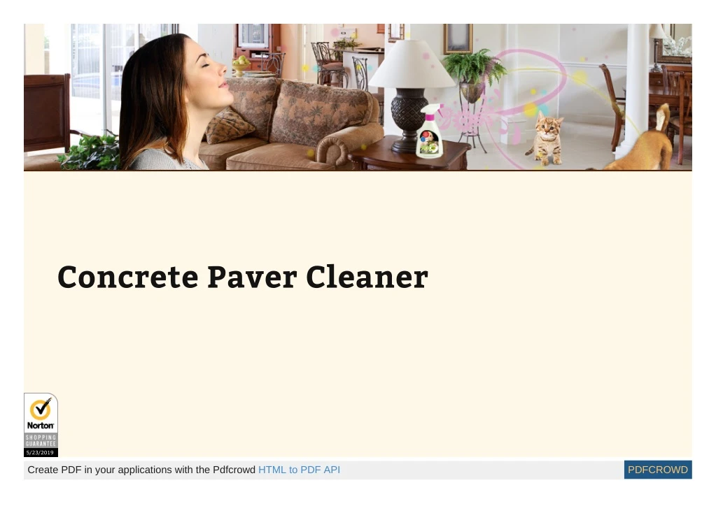 concrete paver cleaner