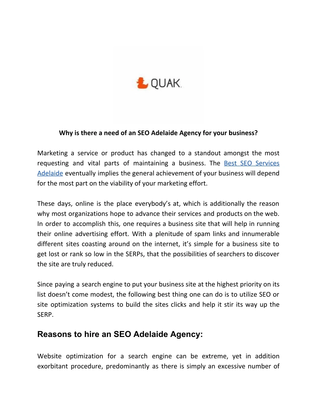 why is there a need of an seo adelaide agency