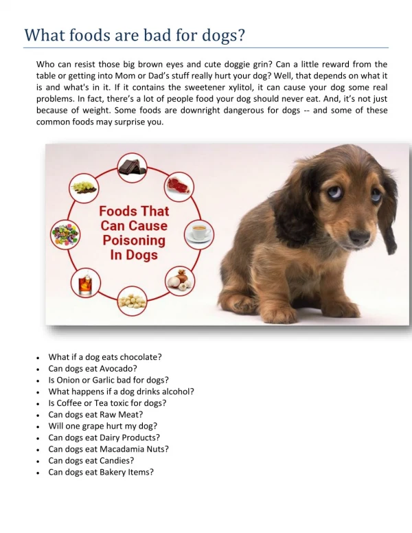 What foods are bad for dogs?