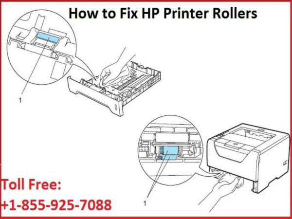 Know How To Fix HP Printer Roller Issue Quickly