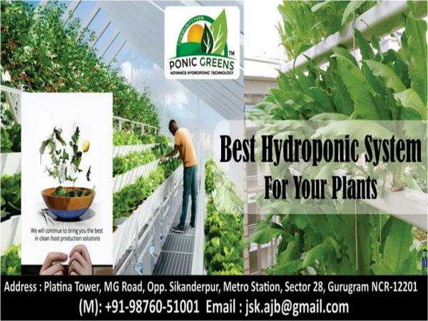 Hydroponic in India ponicgreens Hydroponics in India