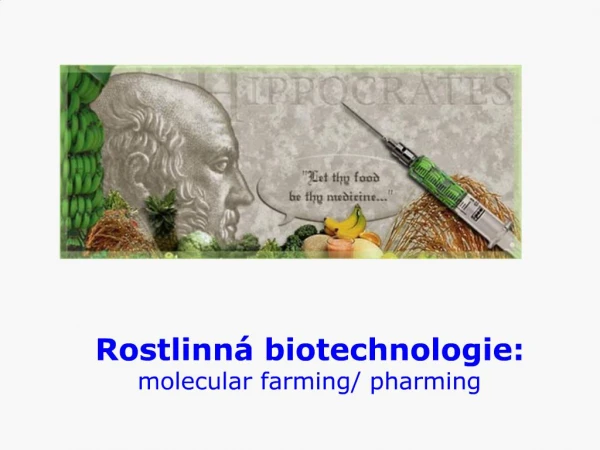 Rostlinn biotechnologie: molecular farming