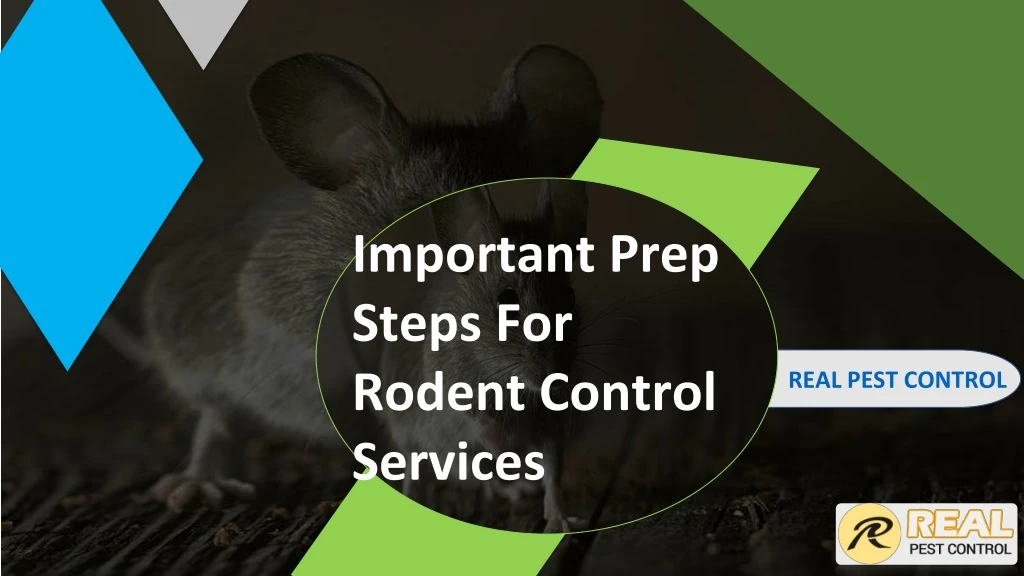 important prep steps for rodent control services