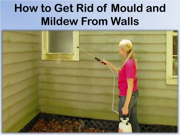 Ways to Remove Mould Naturally