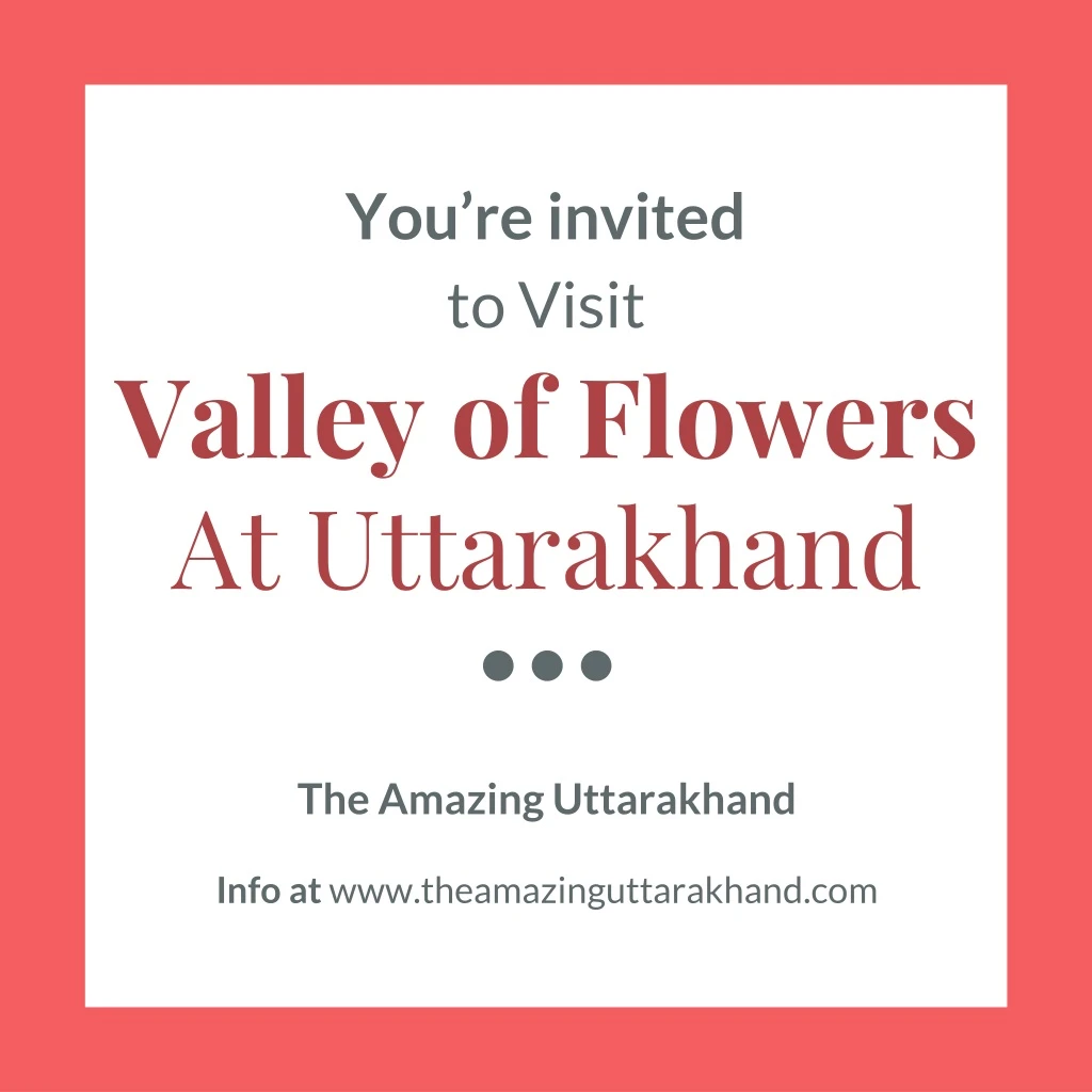 valley of flowers at uttarakhand