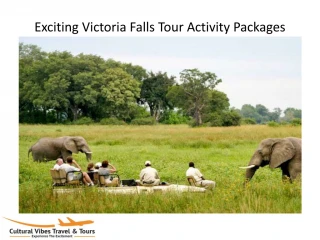 Exciting Victoria Falls Tour Activity Packages - slide 1