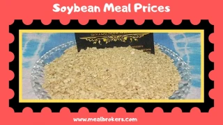 Are You Looking Feeding for Animal - slide 1