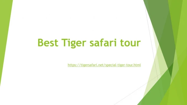 Best Tiger Safari Tour
