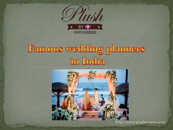 Famous Wedding Planners In India | Plush Events