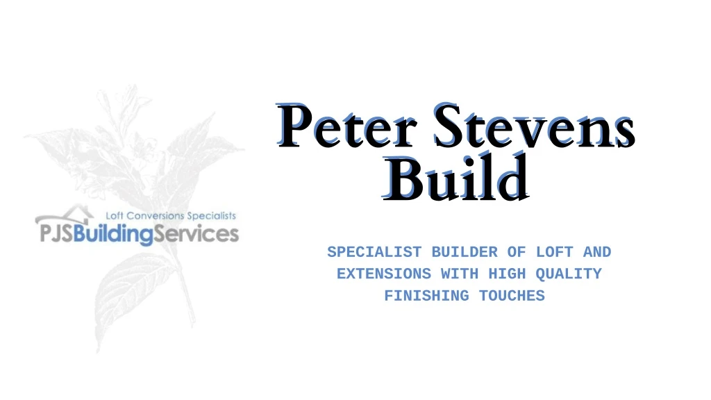 peter stevens build build