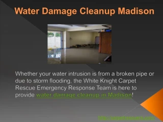 Water Damage Cleanup Madison