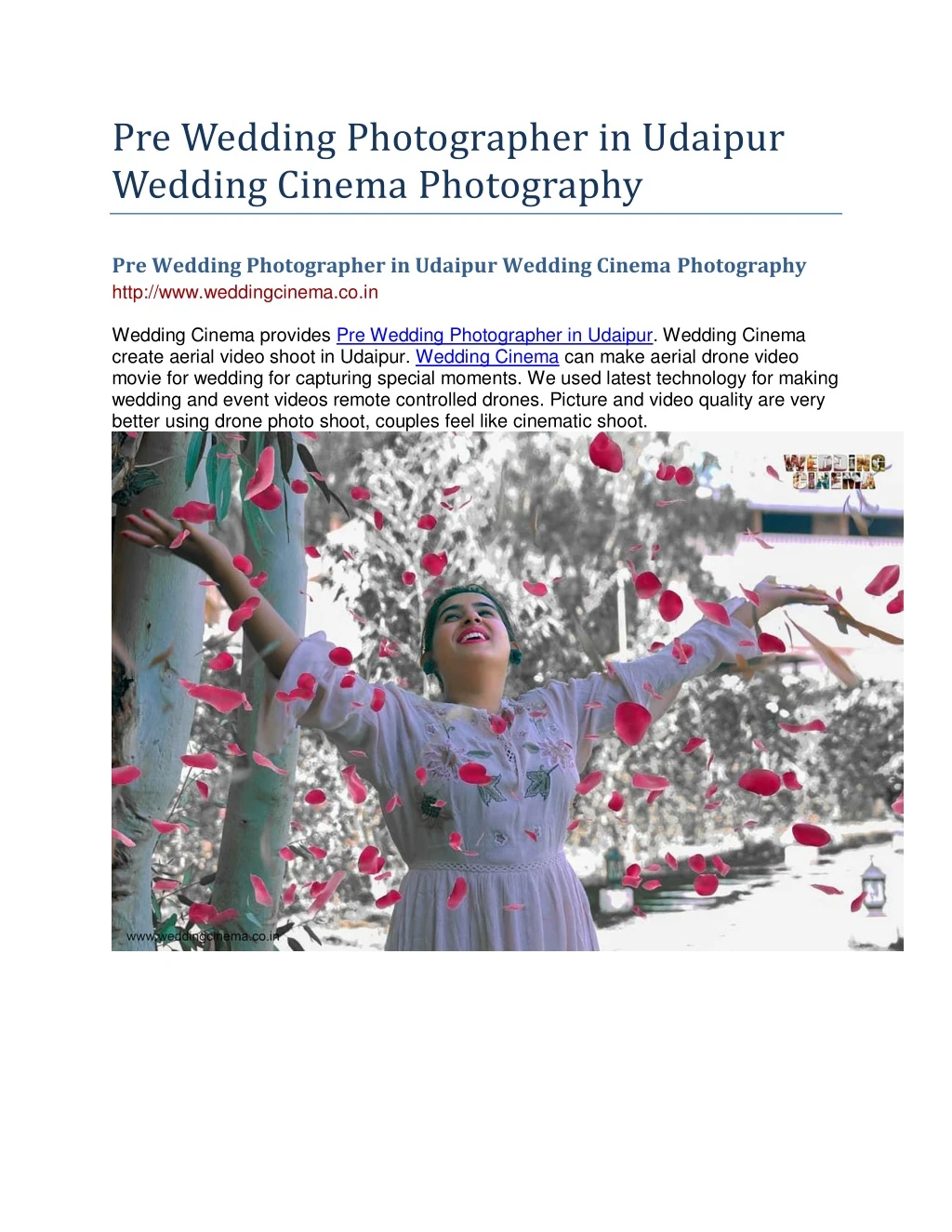 pre wedding photographer in udaipur wedding