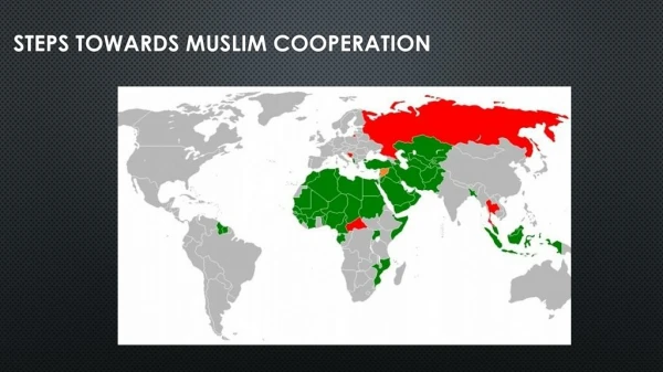 Steps Towards Muslim Cooperation