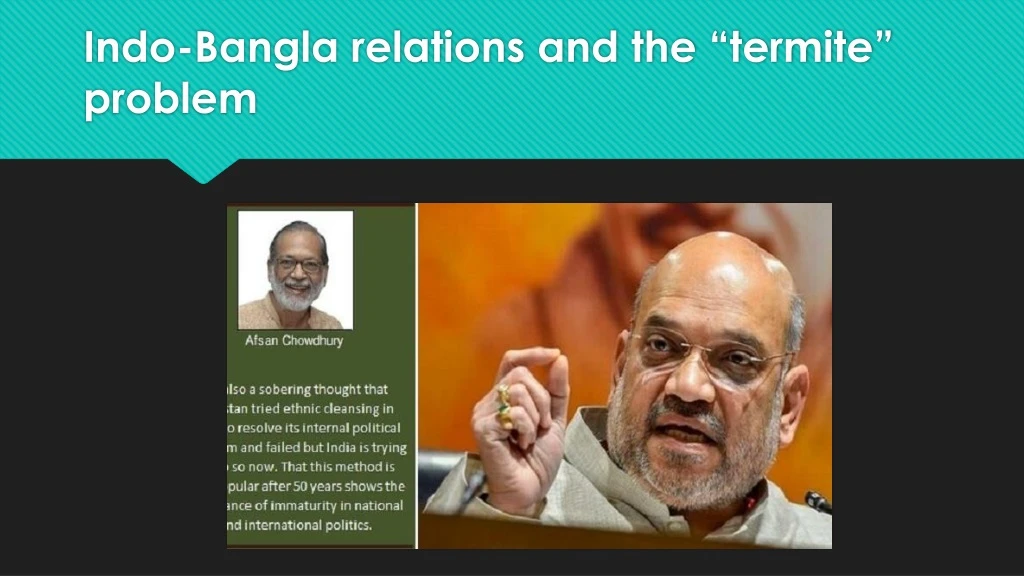 indo bangla relations and the termite problem
