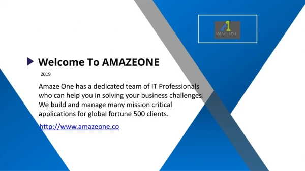 Amaze One: Leading Software & Product Development Company in USA