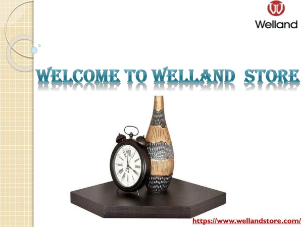 Welcome To-Welland Store