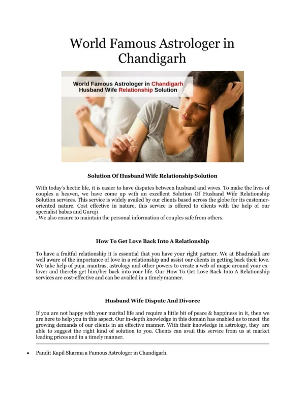 World Famous Astrologer in Chandigarh - Husband wife relationship problem Solution