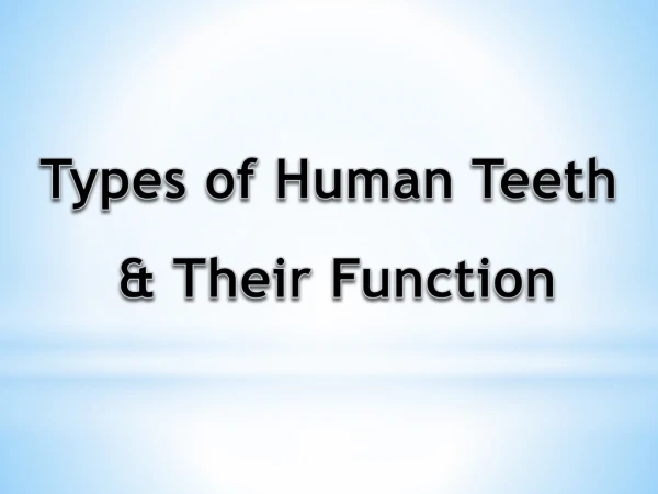 Types of Human Teeth & Their Function