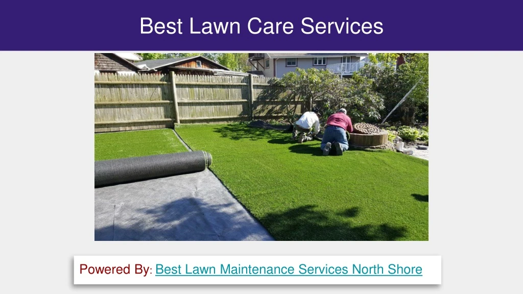 best lawn care services