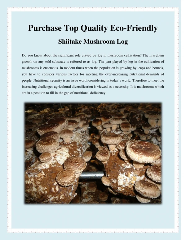 Purchase Top Quality Eco-Friendly Shiitake Mushroom Log