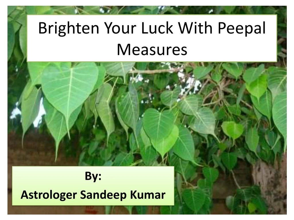 brighten your luck with peepal measures