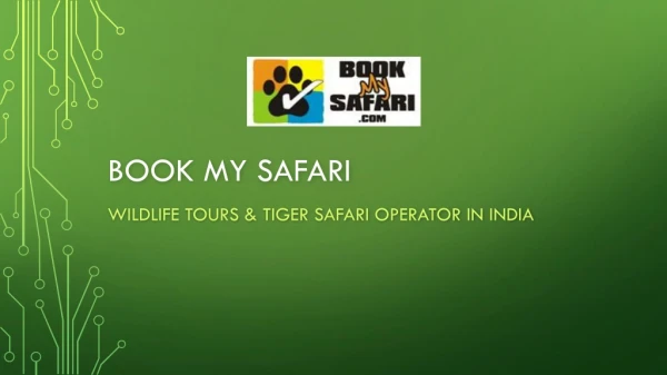 Wildlife tours & Tiger Safari in India