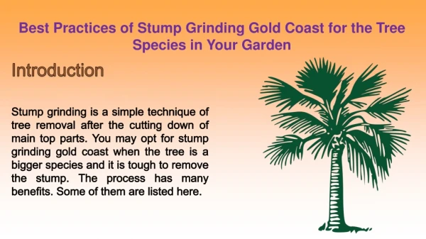 Gold Coast Tree Lopping