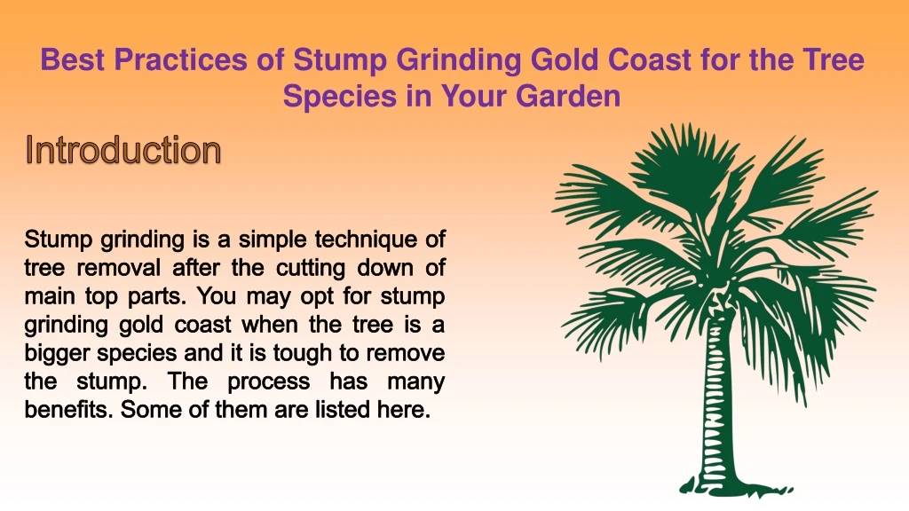 best practices of stump grinding gold coast for the tree species in your garden