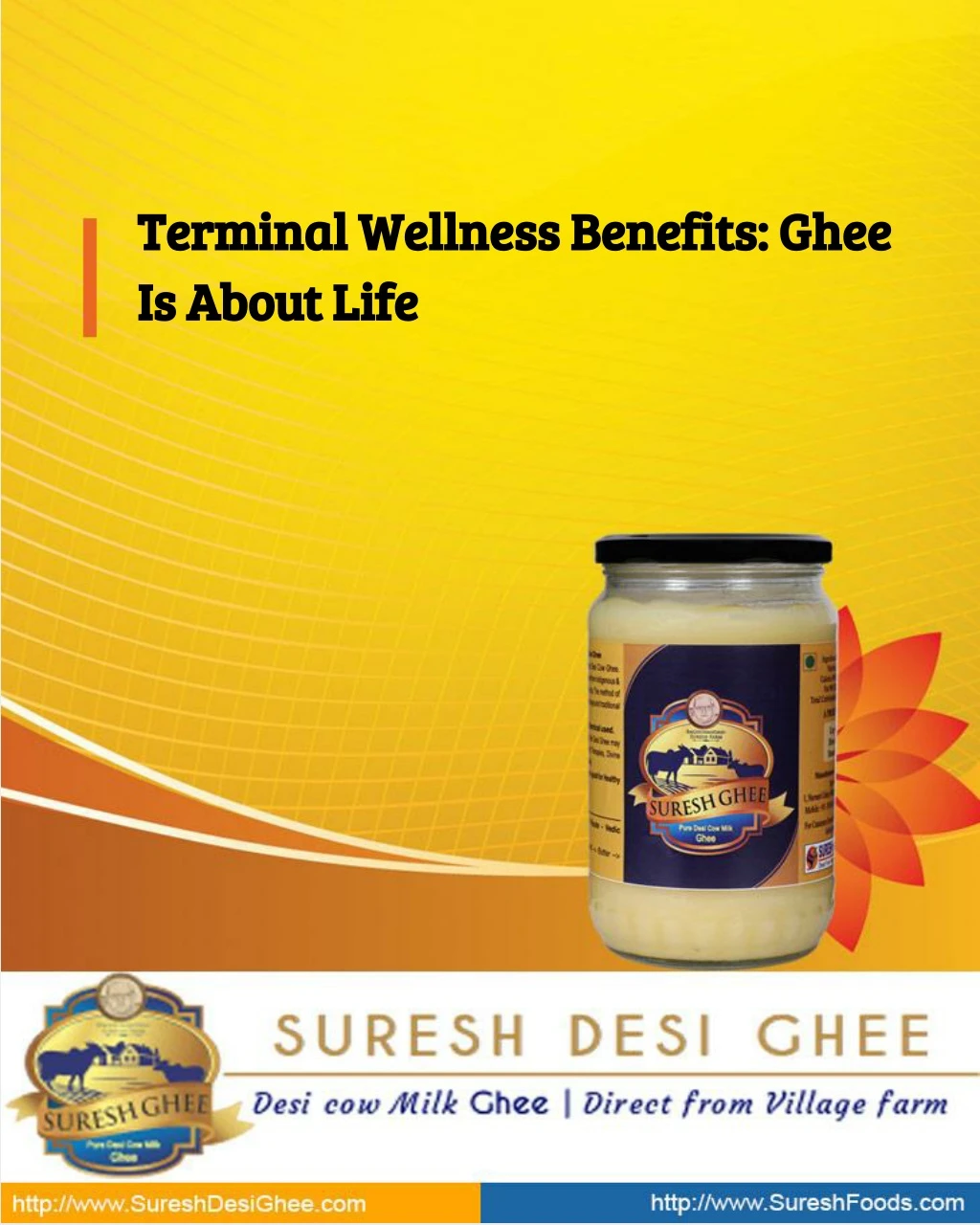 terminal wellness benefits ghee terminal wellness