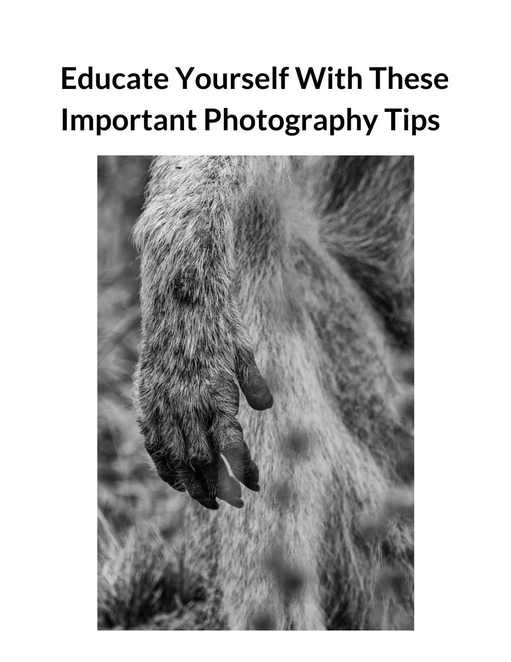 educate yourself with these important photography