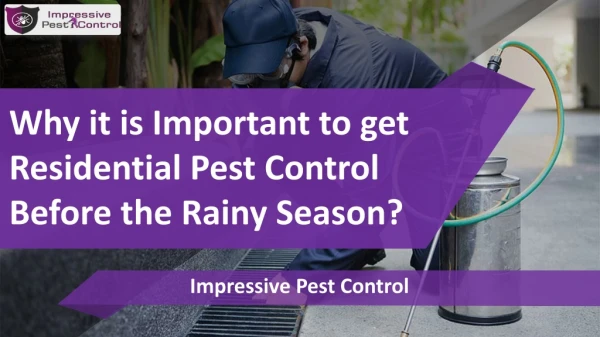 Why it is Important to Get Residential Pest Control Before the Rainy Season?