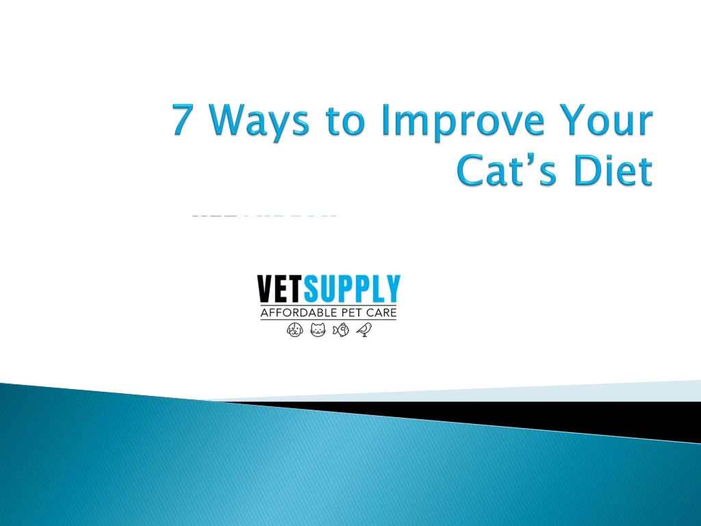 7 ways to improve your cat s diet