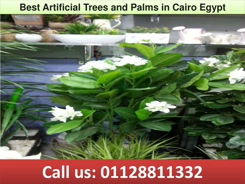 best artificial trees and palms in cairo egypt